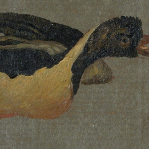 Drawing (Belgium)