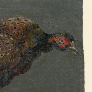 Drawing (Belgium)