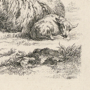 Print (Netherlands)