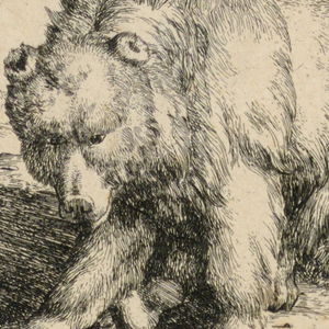 Print, Seated Bear, from a Set o, 1664