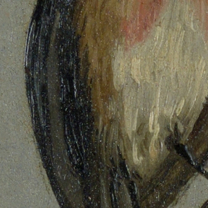 Drawing (Belgium)