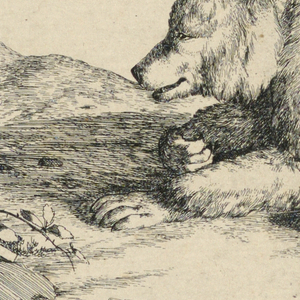 Print, Recumbent Bear, from a Se, 1664