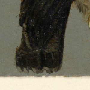 Drawing (Belgium)