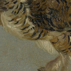Drawing (Belgium)