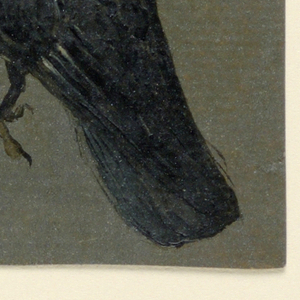 Drawing (Belgium)