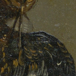 Drawing (Belgium)
