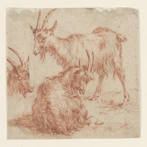 Drawing (Netherlands)