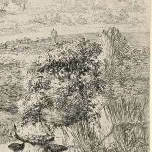 Print (Netherlands)