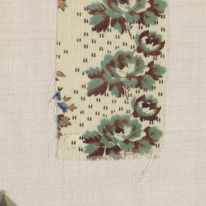 Sample (USA), 1855–1860