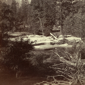 Photograph, Down the Valley, El Capitan and Cathedral Rocks, 1861–66
