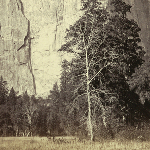 Photograph, Cathedral Rock, Yosemite, 1861–66