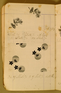 Dyer's Record Book (USA), 1885–86