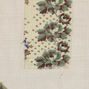 Sample (USA), 1855–60