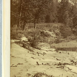 Photograph, Up the Valley, Yosemite, 1861–66