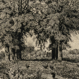 Print (France)