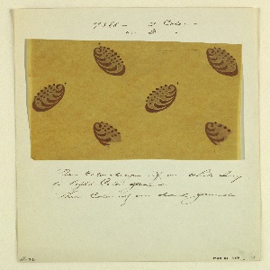 Drawing, "9888 - Two Color or Thre, 1925