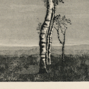 Print (Germany)