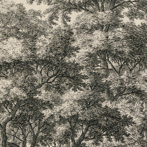 Print (Netherlands)