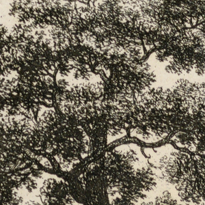 Print (Netherlands)