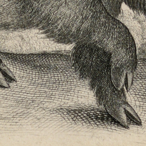 Print (England)