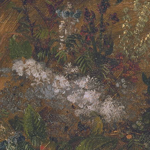 Drawing, Flowers in Jamaica, West Indies, April–August 1865
