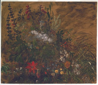 Drawing, Wildflowers, 1865