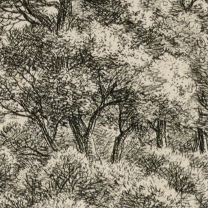 Print (Netherlands)