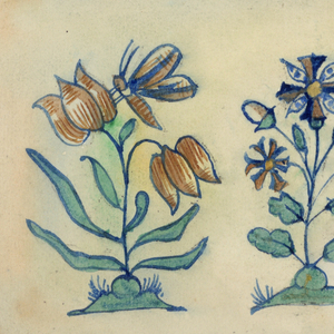 Drawing (Netherlands)