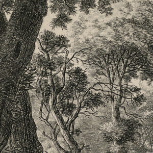 Print (Netherlands)