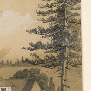 Drawing (Germany)