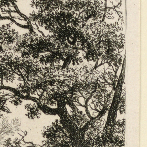 Print (Netherlands)