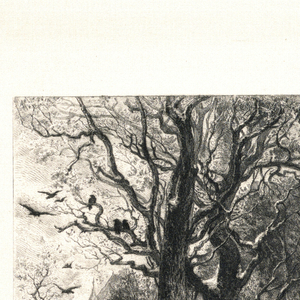 Print (USA)