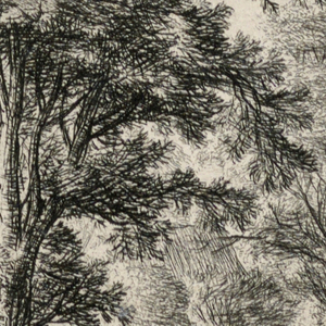 Print (Netherlands)