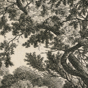 Print (Netherlands)