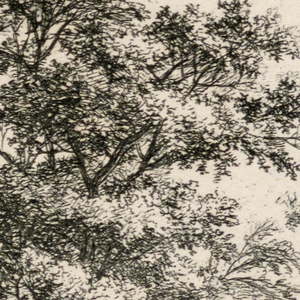 Print (Netherlands)