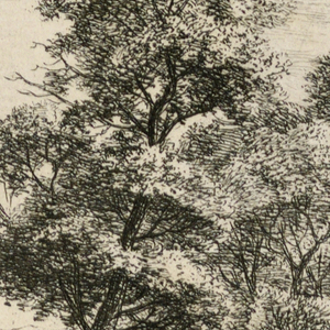 Print (Netherlands)