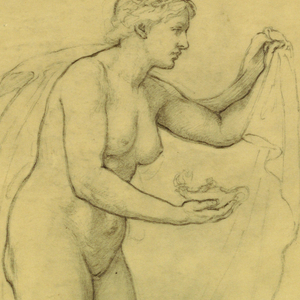 Drawing (USA)