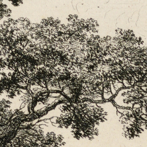 Print (Netherlands)