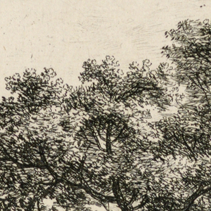 Print (Netherlands)