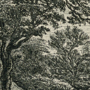 Print (Netherlands)