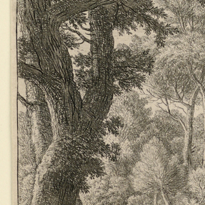 Print (Netherlands)