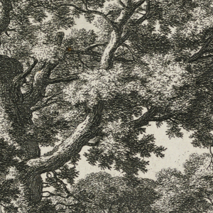 Print (Netherlands)