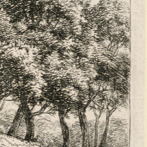 Print (Netherlands)