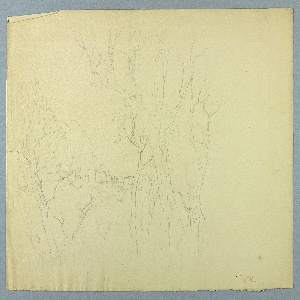 Drawing (USA)