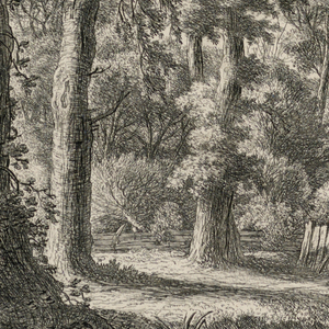 Print (Netherlands)