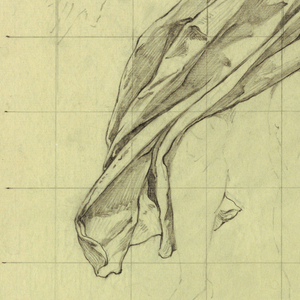Drawing (USA)