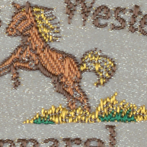 Label (USA), 1980–85