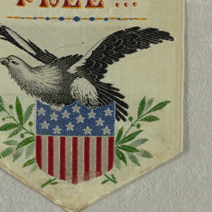 Souvenir (USA), 1893