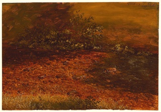 Drawing, Woodland Stream, Vermont