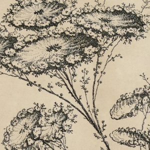 Print (France)